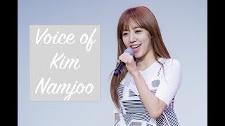 Apink Kim Namjoos High NotesAdlibsVocals [upl. by Adiasteb]