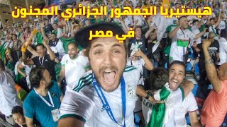 ALGERIE VS SENEGAL 🏆 فرحة هستيرية للجمهور الجزائري في مصر [upl. by Enwad]