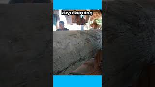 kayu keruing vs Meranti merahsawmillindonesia [upl. by Gessner]