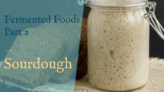 Fermented Foods Part 2 Sourdough [upl. by Neural]