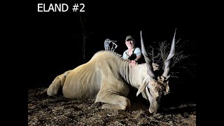 DAY 5 BOWHUNTING IN SOUTH AFRICA AND A STUD CAPE ELAND WALKS IN 2 [upl. by Kirrad]