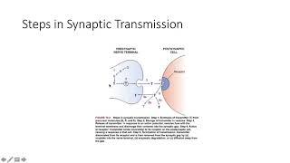 Introduction to Neuropharmacology [upl. by Keyes]