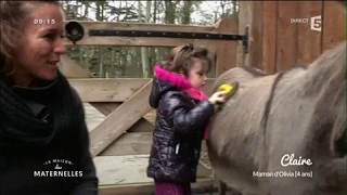 Les enfants à la ferme pédagogique  La Maison des Maternelles [upl. by Talya926]