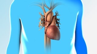 Heart Failure  Discharge Instructions  Nucleus Health [upl. by Nealey]