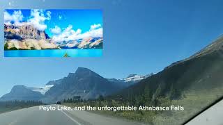 Drive through Icefields Parkway🏔🇨🇦 roadtrip wanderlust active travel [upl. by Rona]