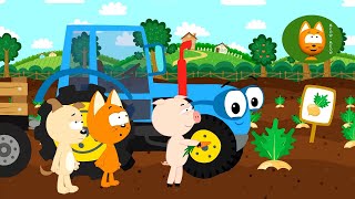 Veggies  Meow Meow Kitty  song for kids [upl. by Mahseh]