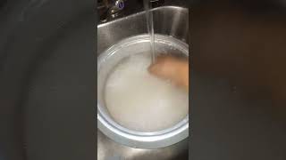 HOW TO WASH RICE WITH SATISFYING ASMR  shorts cooking plainrice [upl. by Ojeillib196]