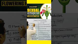 Sexual reproduction in Flowering plants neet ncertbiology angiosperms [upl. by Scammon867]