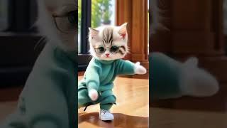 Funny Cat Danceshorts dance funnycatfun [upl. by Stewart626]