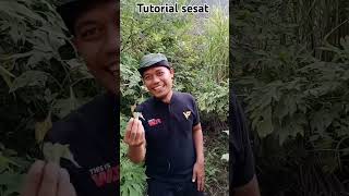 Tutorial sesat😂😂 funny comedy [upl. by Brause]