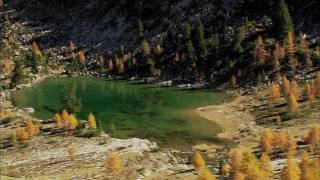 Herbst in Südtirol  Autunno in Alto Adige  Autumn in South Tyrol [upl. by Anaeirb436]