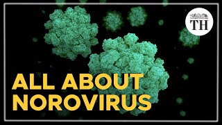 All you need to know about the Norovirus [upl. by Lodhia305]