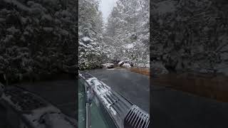 Offroading in the Monongahela National Forest [upl. by Broderick946]