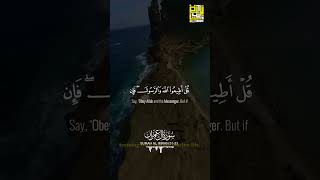 Surah Al Imran Ayat 3133  Mishary Alfasi  Soulful Recitation  Quran Tilawat viral shorts [upl. by Zora]