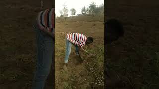 mali za patikana shamba media funny online trend shorts music comedy film show movie tv [upl. by Quartet]