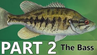 Beginners Guide to BASS FISHING  Part 2  The Bass [upl. by Selestina]