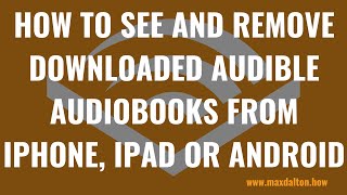 Make Any eBook an Audiobook on iPad or iPhone [upl. by Olsewski869]