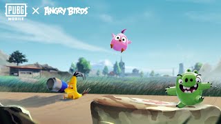 Angry Birds x PUBG MOBILE [upl. by Derward]