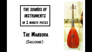 The Mandora The Sounds of Instruments in 1 min pieces [upl. by Riggall]