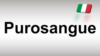 How to Pronounce Purosangue [upl. by Obaza80]