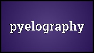 Pyelography Meaning [upl. by Carr]