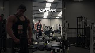 OS DEJO UN VIDEO CON MI ENTRENO DE PECHO Y HOMBRO gym gymmotivation bodybuilding aestheticgym [upl. by Nuarb]