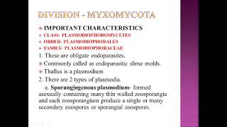 FUNDAMENTALS OF PLANT PATHOLOGY Classification of Fungi Part2 [upl. by Maurer]