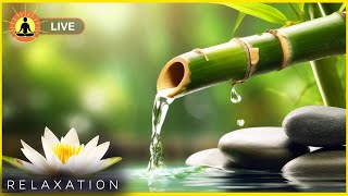 🔴 Relaxing Zen Music 247 Stress Relief Music Sleep Music Meditation Music Study Calming Music [upl. by Aihsar]