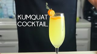 KUMQUAT COCKTAIL with Vodka  An elegant cocktail with a hint of thyme [upl. by Eussoj]