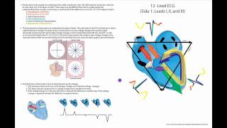 Ten Minute ECG Part 1Okay It Is 20 Min But I Tried [upl. by Avot]