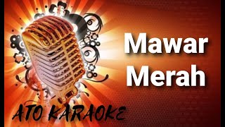 SLANK  Mawar Merah  karaoke [upl. by Yenittirb]