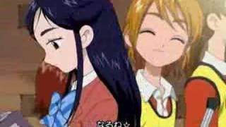 Pretty Cure  sigla iniziale DVDMUX [upl. by Gnivre655]