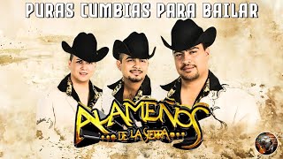 Los Alameños de La Sierra Mix  Cumbias Sierreñas  Las Mas Chingonas Pa Bailar  Norteñas Mix [upl. by Houlberg]