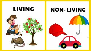 living things and nonliving things  Living and non living things for kids  Living and non living [upl. by Gotcher]