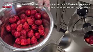 FEUMA TED Erdbeeren gewürfelt strawberry cubes 14x14x14 mm [upl. by Valera689]