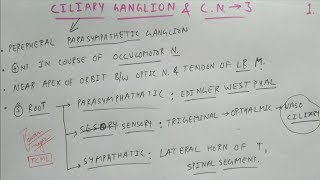 Ciliary Ganglion amp Oculomotor Nerve  1  Cranial Nerve  Neuro Anatomy  TCML [upl. by Schiro]