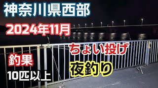 【神奈川県西部の河口】秋の夜釣り チョイ投げ釣果 2024年11月 [upl. by Orian]