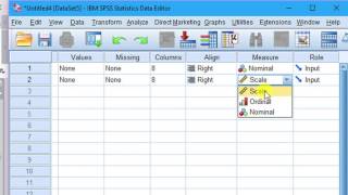 Chi Square Goodness of Test on SPSS  Categorical Data Analysis [upl. by Elvah]