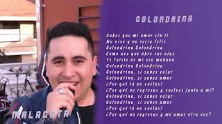 MALAGATA  Golondrina  video LYRIC [upl. by Gnues592]