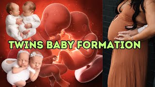 Twins Baby Formation  Twin Baby Pregnancy Journey  Twin Pregnancy Transformation [upl. by Sofer]