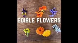 Edible Flowers [upl. by Tombaugh652]