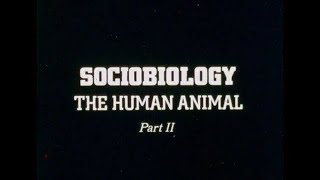 Sociobiology The Human Animal  Part II  1977 [upl. by Amaty715]