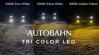 Autobahn Tri Color LED  Best 3 in 1 LED Bulb for Fog light Hindi autobahntechnologies2562 [upl. by Tailor]