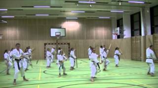 Haku Sho No Kun Bo Kata Kobudo Seminar led by Katherine Loukopoulos St Pölten Austria 2014 [upl. by Etennaej]