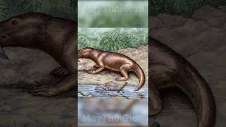 Cynodont tổ tiên của con người 260 triệu năm trước khủnglong kienthuc maythoigian [upl. by Alfonzo628]