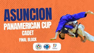 Copa Panamericana Cadete Asuncion 2024 Bloque Final [upl. by Kulsrud584]