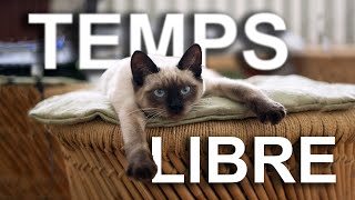 TEMPS LIBRE  PAROLE DE CHAT [upl. by Ccasi]