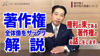 著作者の権利である著作権について【著作権法・特許法・意匠法】 [upl. by Eceinert]