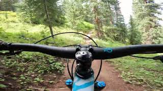 Snowmass Bike Park  Dust Bunny  82124 [upl. by Nnyroc]