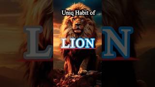 Uniqe Habit of Lions 😆factsyoutubeshorts​ ytshorts​ trending​ shortsfeed​ viral​ [upl. by Trudey]